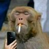 @trodat7 profil fotoğrafı