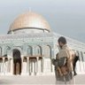 Фото профиля معاذ عامر