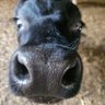 selinag profil fotoğrafı