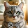 Alpha's profile picture