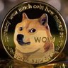 Doge&Hoge 的头像