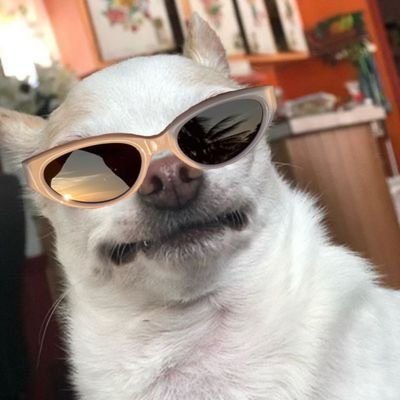 .'s profile picture