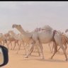 متعب الروقي's profile picture