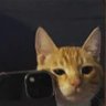 fabriuciu profil fotoğrafı