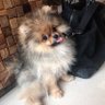 Bubblebennn ੈ♡⸝⸝'s profile picture