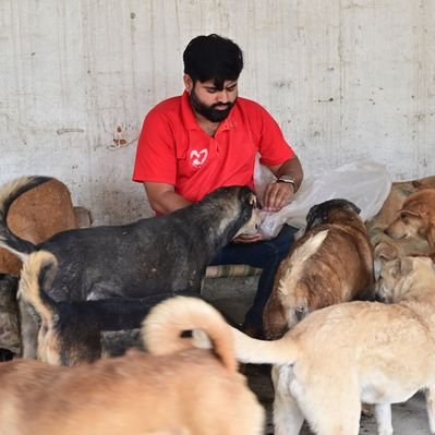 Vidit Sharma 🇮🇳's profile picture