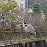 Фото профиля 苺食べれない