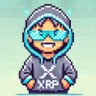 The XRP Geek's profile picture