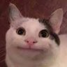 Profilbild von Maniac
