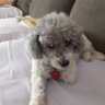 Trish's profile picture