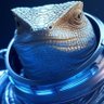 Фото профиля SpaceLizards