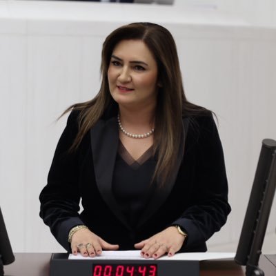 SEVDAERDAN's profile picture
