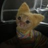 TheVsratysh's profile picture