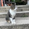モモン@ profil fotoğrafı