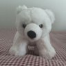 Фото профиля shirokuma-03030319