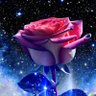 Фото профиля Universe of Positivity
