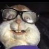 Profilbild von hi