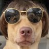 Profilbild von anajo