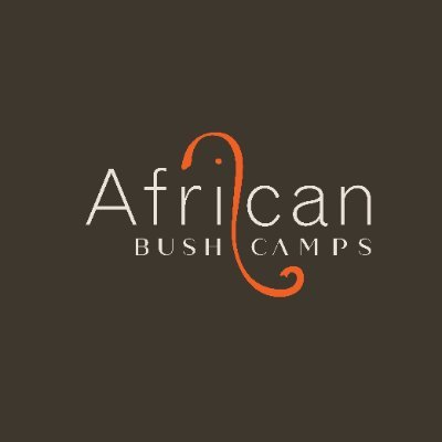 African Bush Camps's profile picture