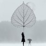 Profilbild von ianina victor