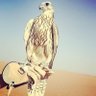 Фото профиля شجاع الفايز