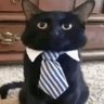 jason ♱'s profile picture