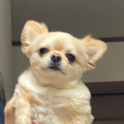 731ten's profile picture