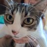 Laureen ta com sono profil fotoğrafı