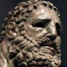 Profilbild von Quercus