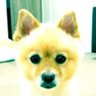 あこ profil fotoğrafı