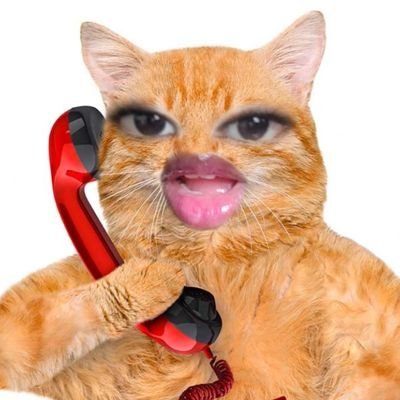 Sir. Orangelo III's profile picture