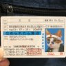 Фото профиля 猫目