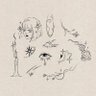 猫猫ฅ- ·̫ - ̳^ 的头像