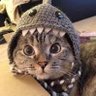 De_Z profil fotoğrafı