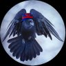 Cuervo Burgués's profile picture