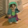 SynX's profile picture