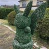 Фото профиля ひろゆき