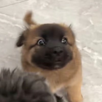 samesama3's profile picture