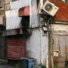 カツヲ profil fotoğrafı