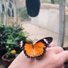 Profilbild von منال🌿