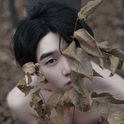 niuniuniubibi's profile picture