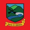 Фото профиля Ballygiblin GAA
