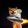 Profilbild von Shiba To The Moon