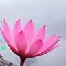Profilbild von سفرنامه