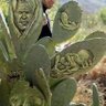 Profilbild von ابو علي بوتن