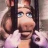 Damasc🐝's profile picture