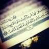 Profilbild von Nour Ahmed