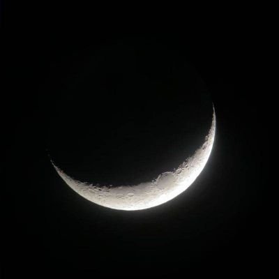 DarkSideOfTheMoon's profile picture