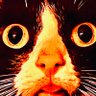 .'s profile picture