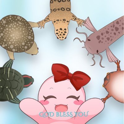mokusokai's profile picture